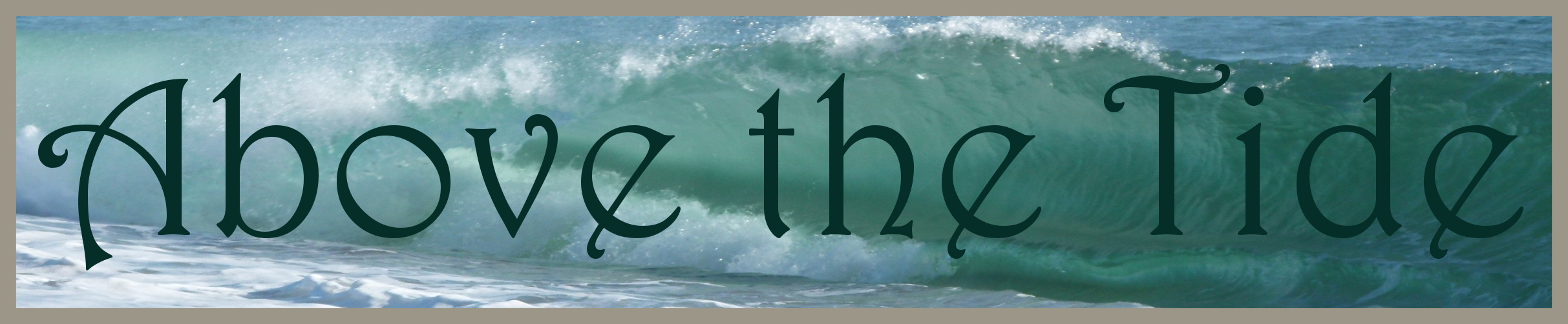 Above the Tide Banner